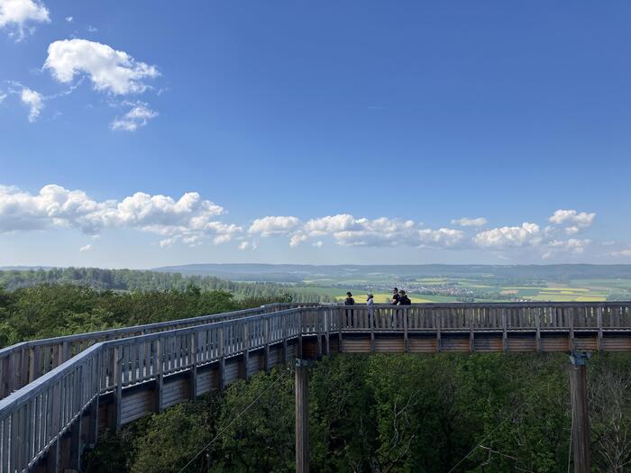 Baumwipfelweg Bad Camberg