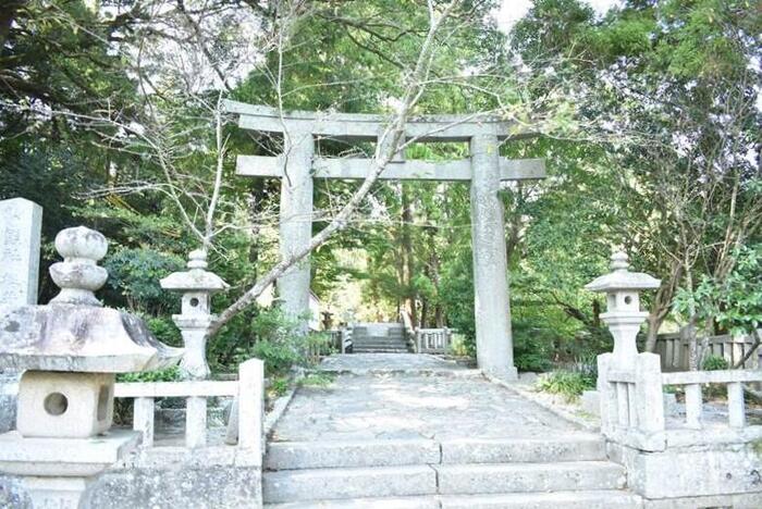 櫻井神社の鳥居