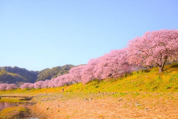 日本の避寒地といえばどこ？ 冬の寒さを避けて楽しめる旅行先8選
