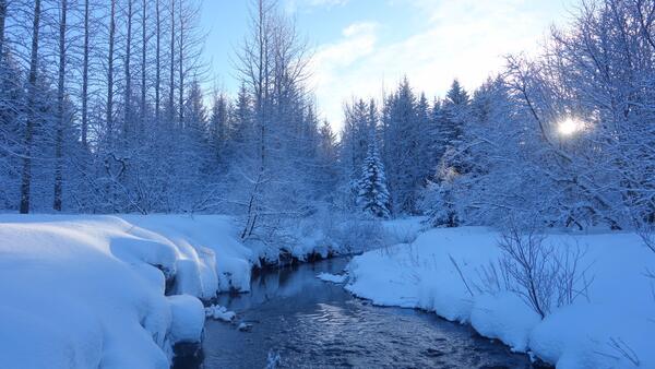 氷の国アイスランドで人々はどう冬を越す？