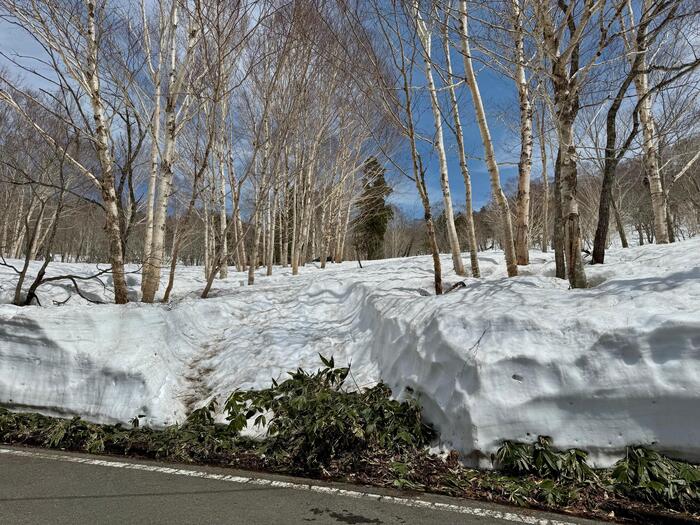 尾瀬　鳩待峠　山ノ鼻