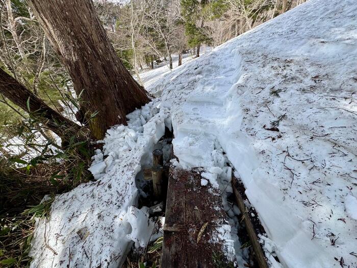 尾瀬　鳩待峠　山ノ鼻