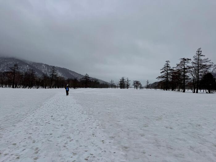 尾瀬　尾瀬ヶ原