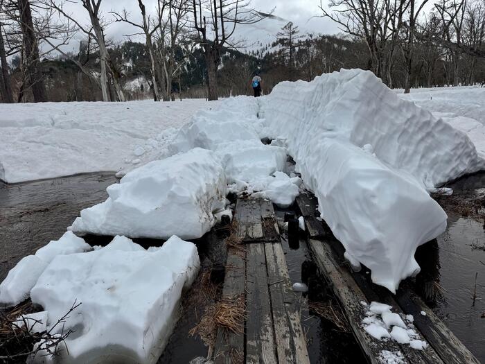 尾瀬　尾瀬ヶ原　原の川上橋