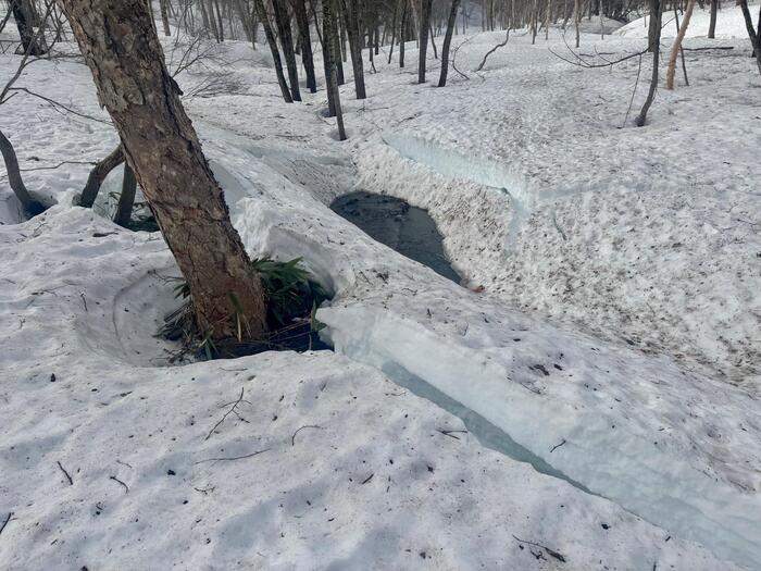 尾瀬　山ノ鼻　鳩待峠