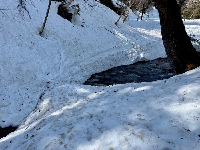 尾瀬　山ノ鼻　鳩待峠