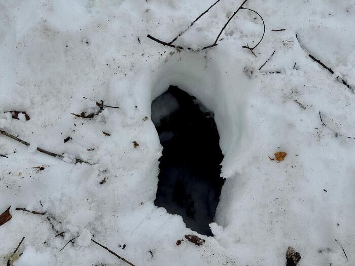 尾瀬　尾瀬ヶ原　踏み抜き