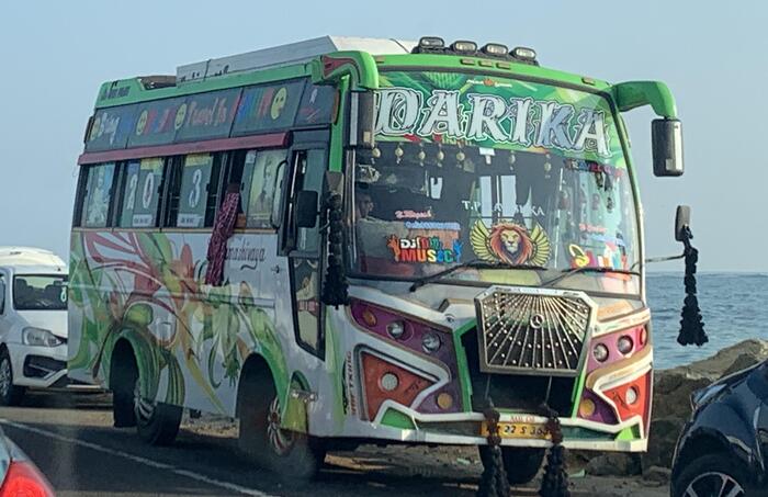 サファリをイメージのトラック