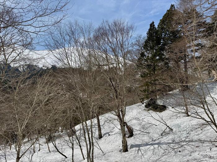 尾瀬　鳩待峠　山ノ鼻