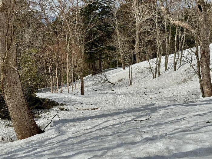 尾瀬　鳩待峠　山ノ鼻