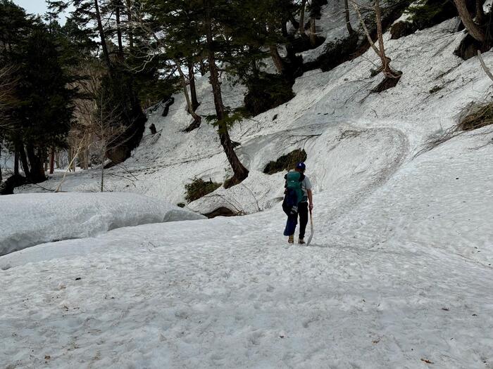 尾瀬　鳩待峠　山ノ鼻