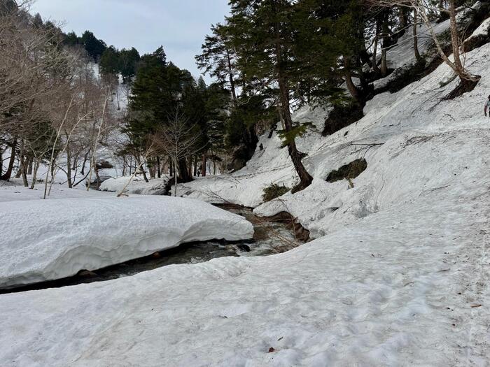 尾瀬　鳩待峠　山ノ鼻