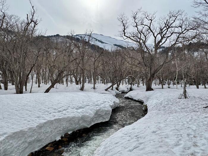 尾瀬　鳩待峠　山ノ鼻