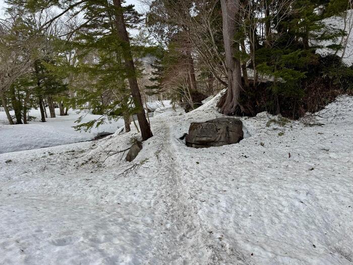 尾瀬　鳩待峠　山ノ鼻