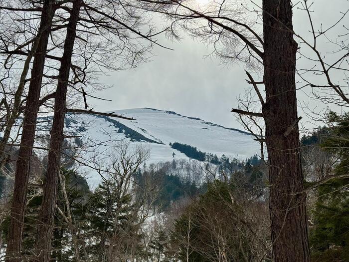 尾瀬　鳩待峠　山ノ鼻　至仏山