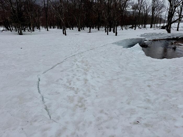 尾瀬　尾瀬ヶ原　原の川上橋