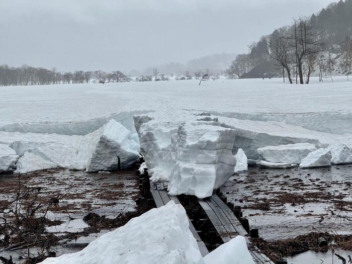 尾瀬　尾瀬ヶ原　原の川上橋