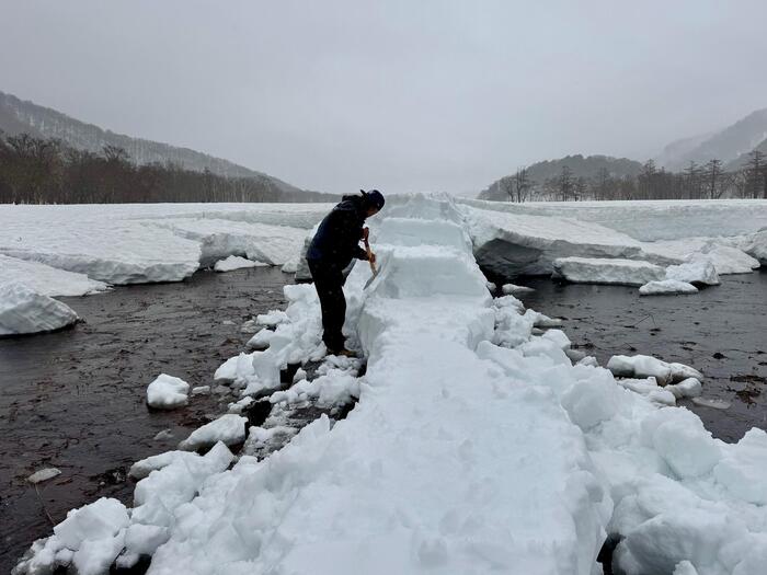 尾瀬　尾瀬ヶ原　原の川上橋