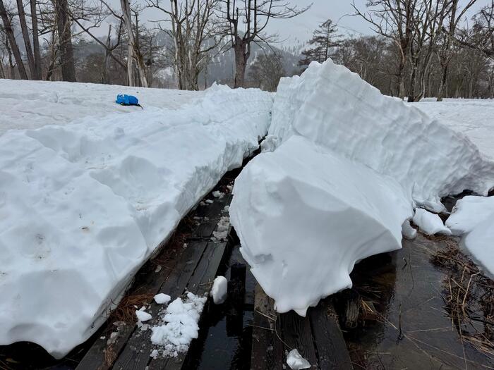 尾瀬　尾瀬ヶ原　原の川上橋
