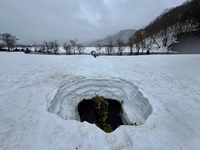 尾瀬　尾瀬ヶ原　上の大堀川橋