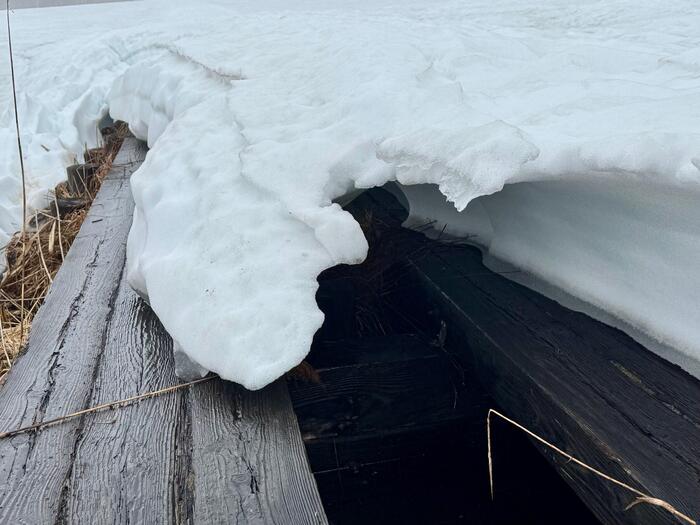 尾瀬　尾瀬ヶ原　竜宮