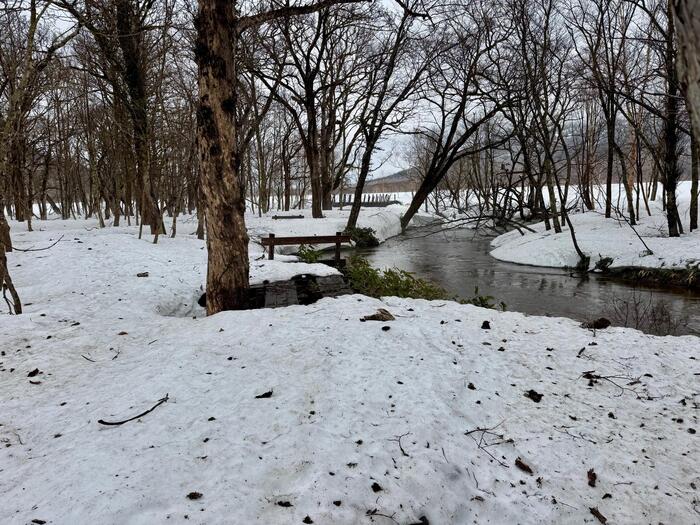 尾瀬　尾瀬ヶ原　龍宮小屋　沼尻川