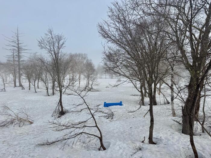 尾瀬　尾瀬ヶ原　山ノ鼻