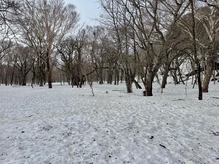 尾瀬　山ノ鼻　鳩待峠