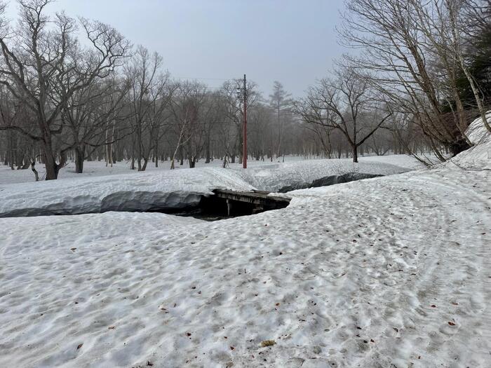 尾瀬　山ノ鼻　鳩待峠