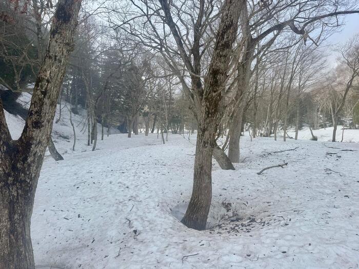 尾瀬　山ノ鼻　鳩待峠