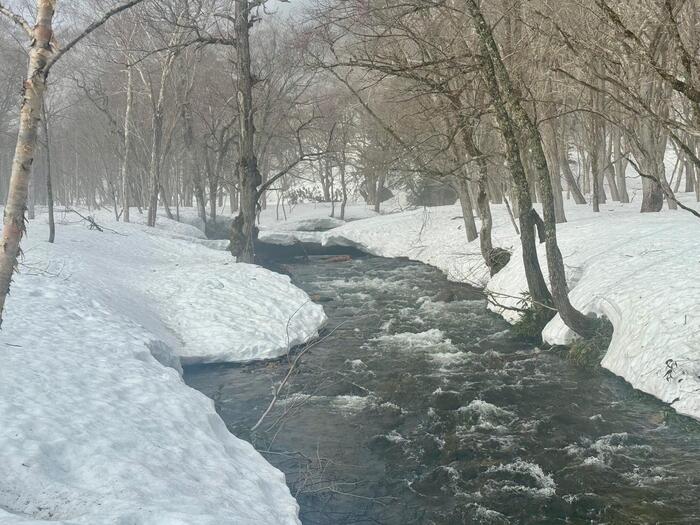 尾瀬　山ノ鼻　鳩待峠