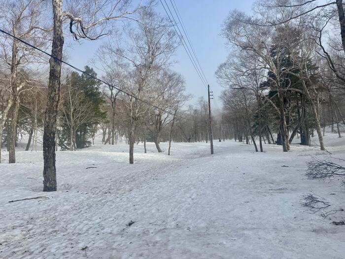 尾瀬　山ノ鼻　鳩待峠