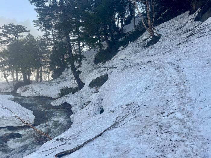 尾瀬　山ノ鼻　鳩待峠