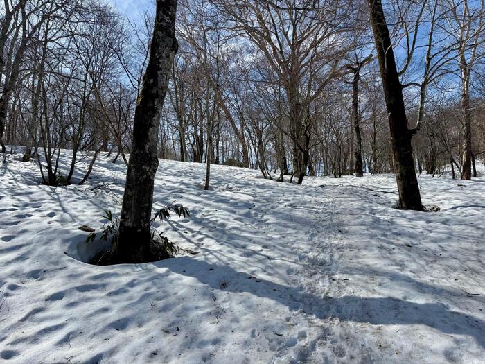 尾瀬　山ノ鼻　鳩待峠