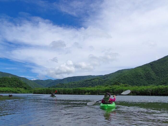 マングローブの森カヌーツアー