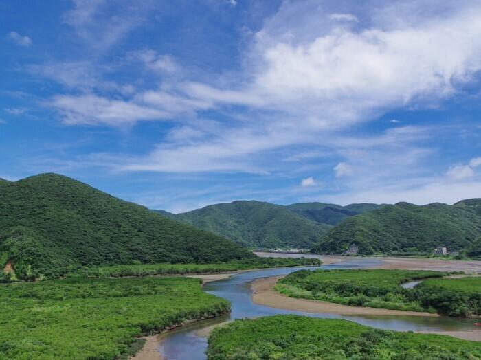 黒潮の森マングローブパーク