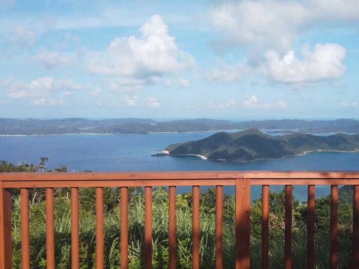 自然観察の森展望デッキ