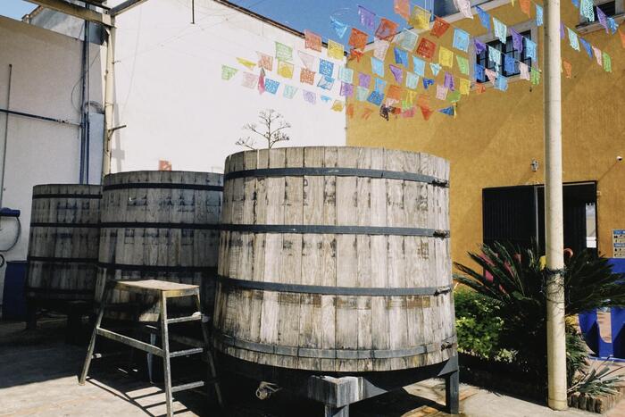 テキーラ蒸留所の様子