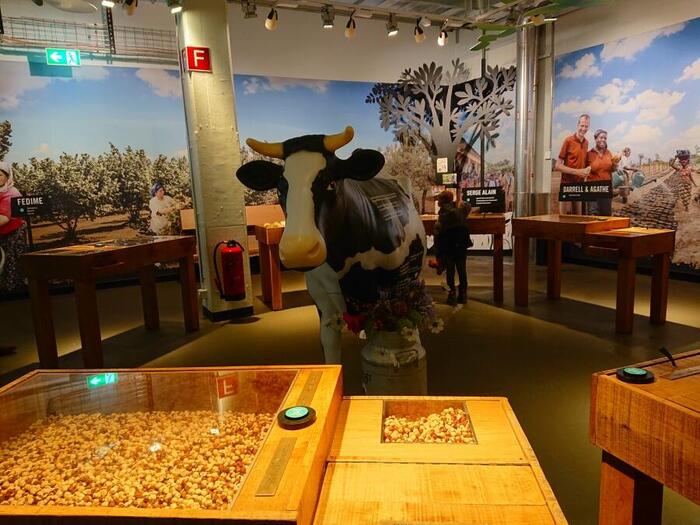 チョコレートの原料に関して紹介されているコーナーも