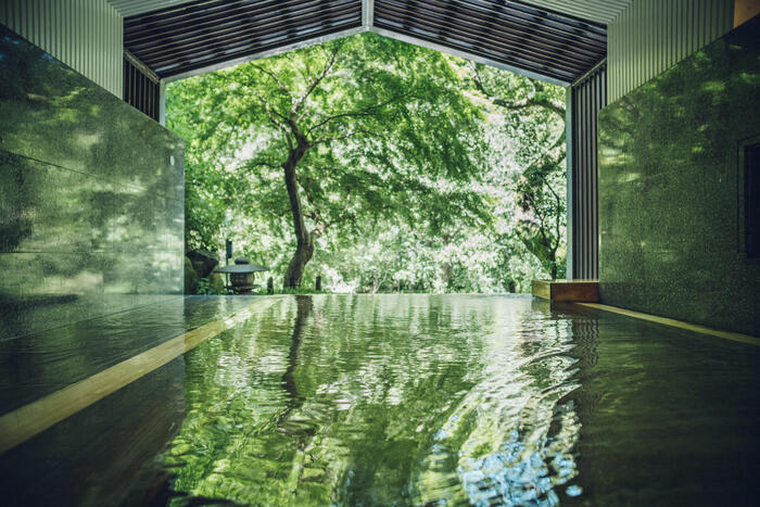 界 箱根の大浴場から見える新緑