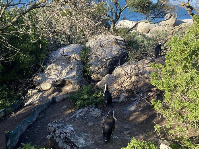 ボルダーズビーチ