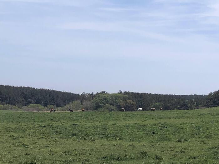 下北半島の広がる景色