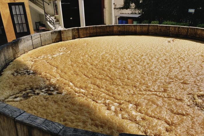 発酵途中。プクプクしている