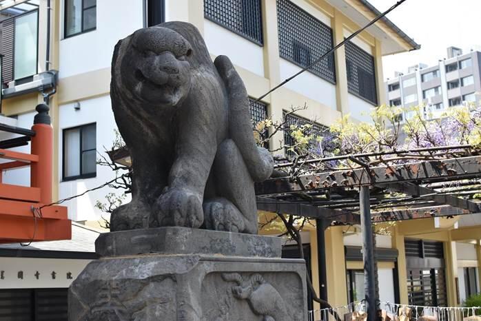 神楽坂 善國寺 虎の石像