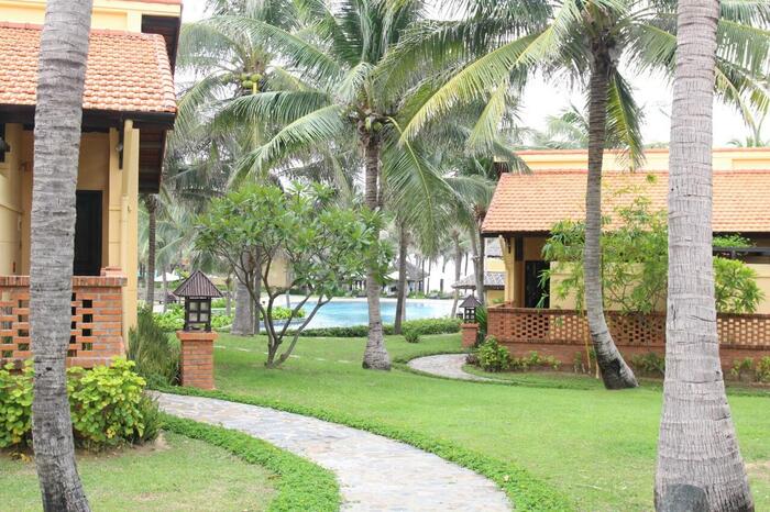 熱帯の木々が並ぶ