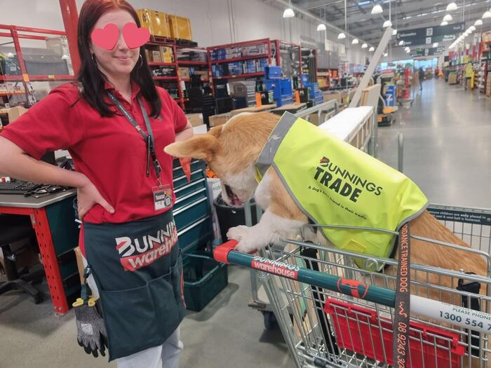 店員さんも我が愛犬にメロメロです