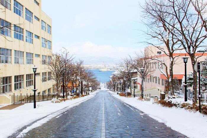 函館八幡坂の冬の眺め