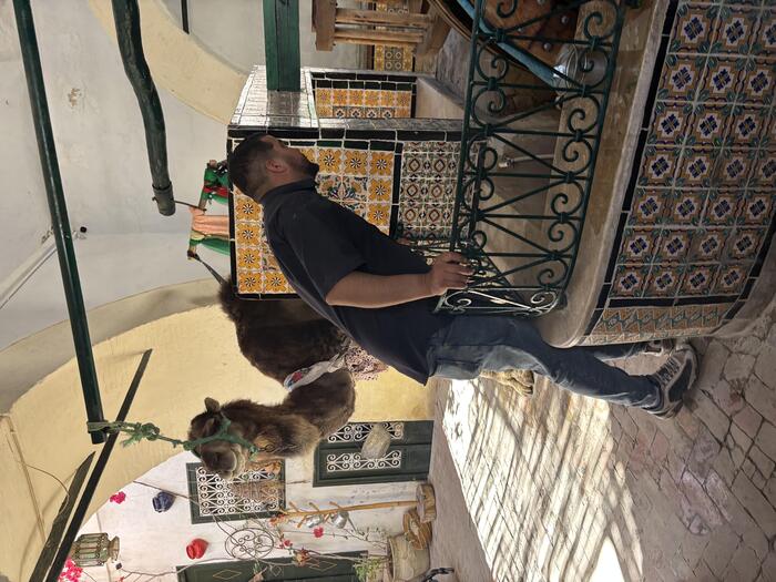 ラクダと井戸をのぞき込む男性