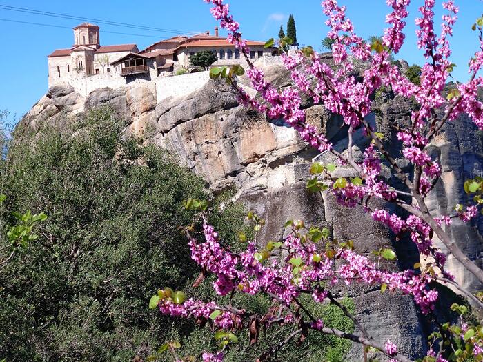 春は緑もみずみずしく花も咲いてコントラストが美しい季節
