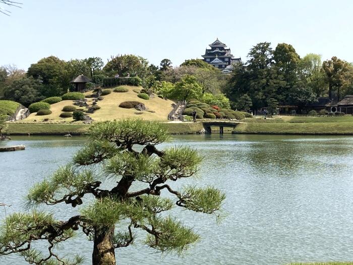 沢の池の対岸に見える唯心山。奥には岡山城がそびえる